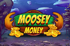 Moosey Money